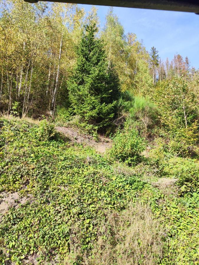 Wohlfuehloase Eifelsteig Villa Simmerath Kültér fotó