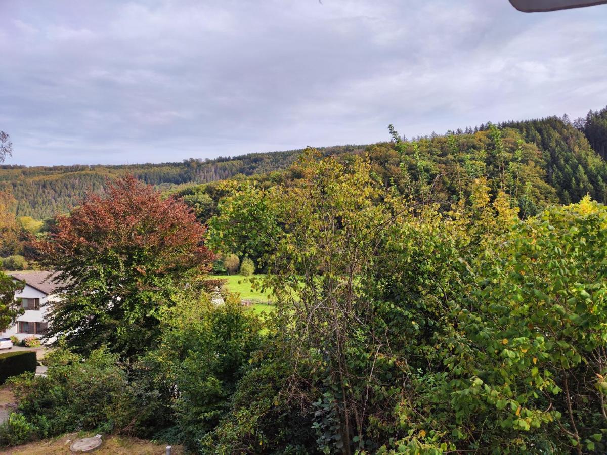 Wohlfuehloase Eifelsteig Villa Simmerath Kültér fotó