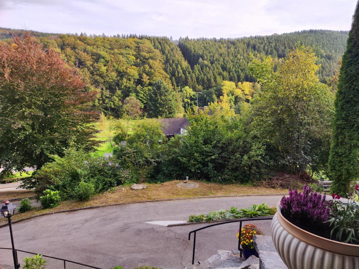 Wohlfuehloase Eifelsteig Villa Simmerath Kültér fotó