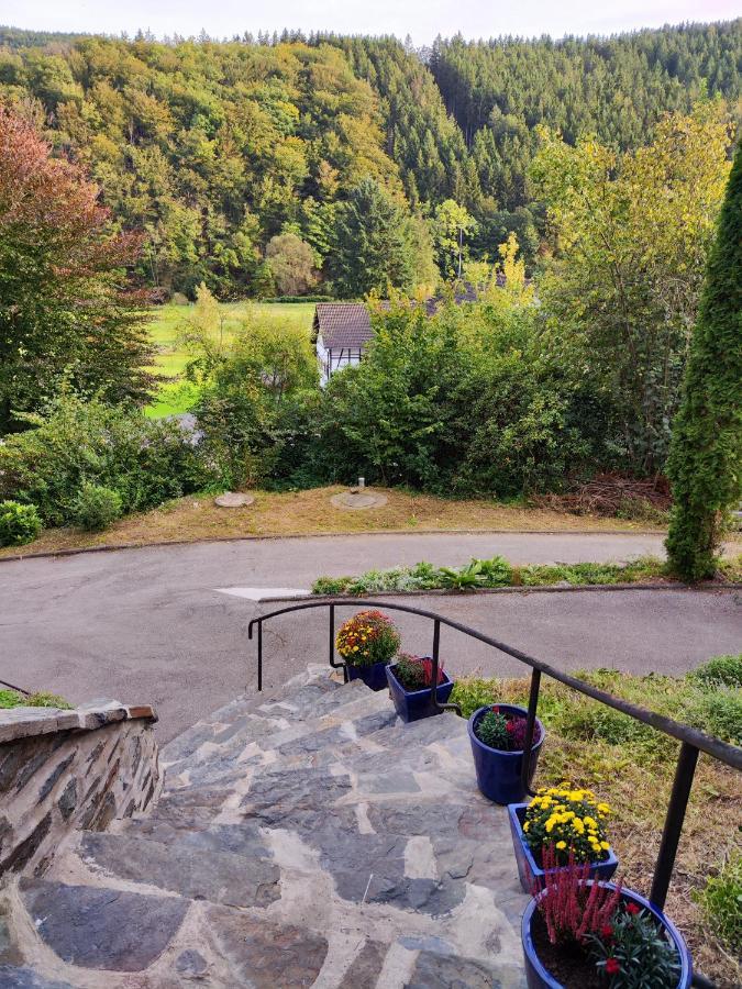 Wohlfuehloase Eifelsteig Villa Simmerath Kültér fotó