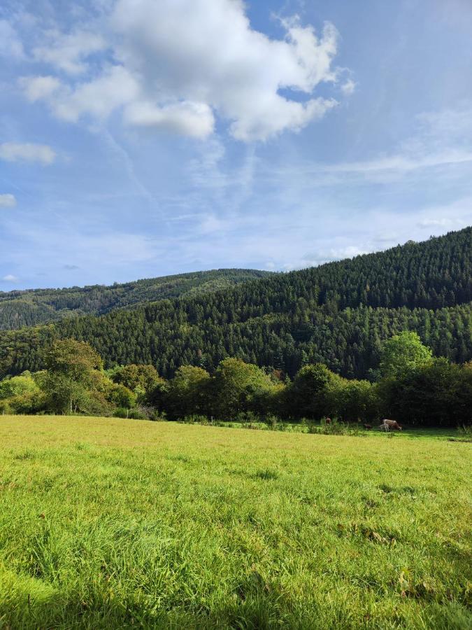 Wohlfuehloase Eifelsteig Villa Simmerath Kültér fotó