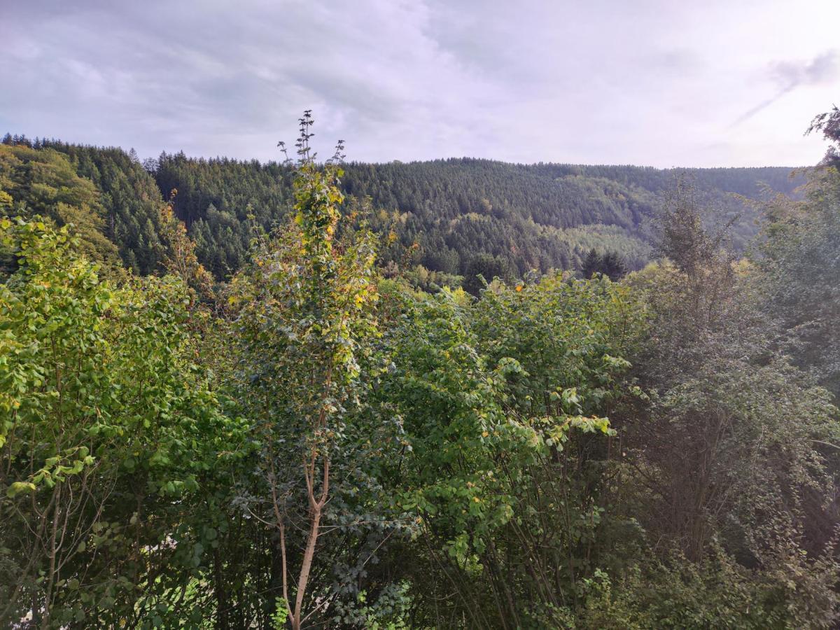 Wohlfuehloase Eifelsteig Villa Simmerath Kültér fotó
