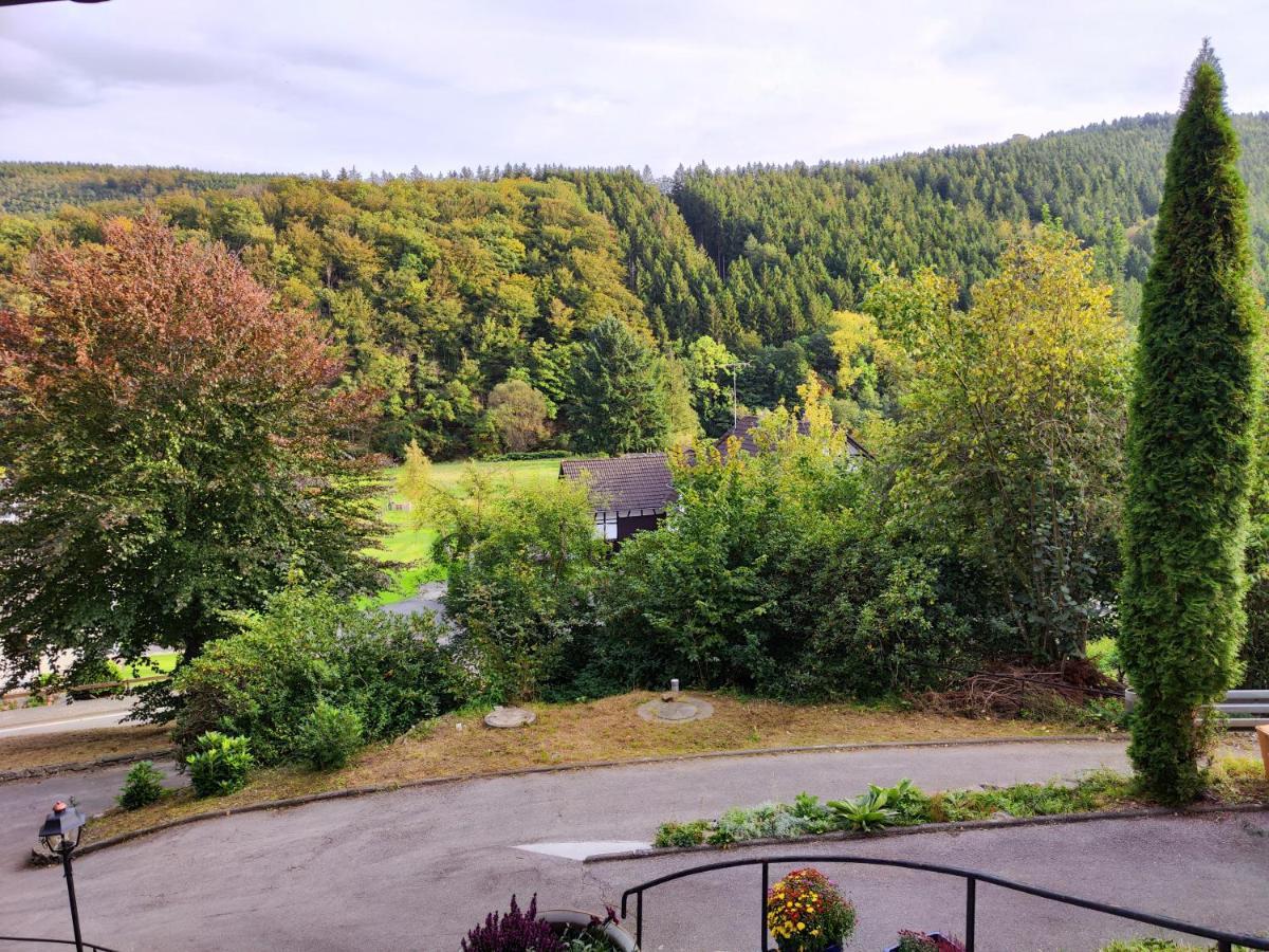 Wohlfuehloase Eifelsteig Villa Simmerath Kültér fotó